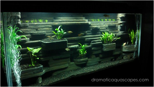 Dramatic AquaScapes - DIY Aquarium Background - Aaron Jenison in the  Community Spotlight