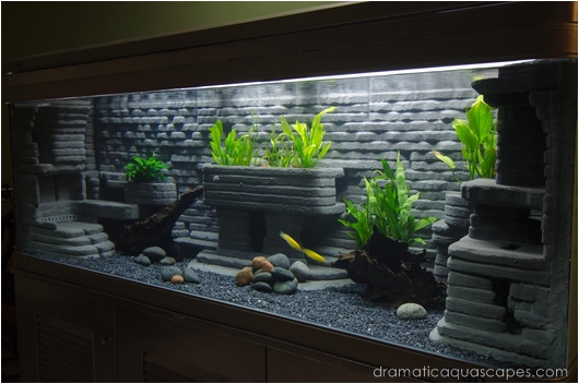 Dramatic Aquascapes Diy Aquarium Background Bob Kyaw In The