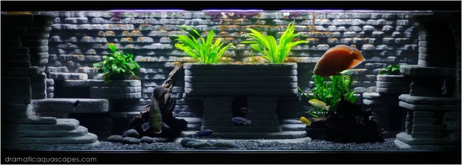 Dramatic AquaScapes - DIY Aquarium Background - Bob Kyaw in the