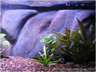 Background on Dramatic Aquascapes   How To Build Your Own Custom Aquarium Background